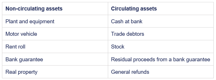 Non-circulating assets & circulating assets